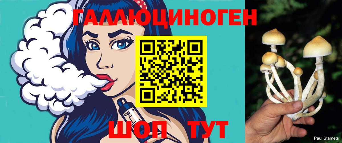 Галлюциногенные грибы GOLDEN TEACHER  Вход с VPN  Галлюциногенные грибы мицелий  Новотроицк 