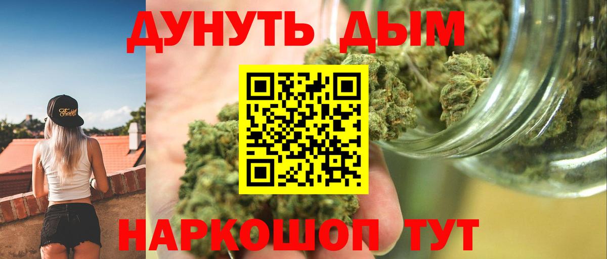 Конопля гибрид Новотроицк
